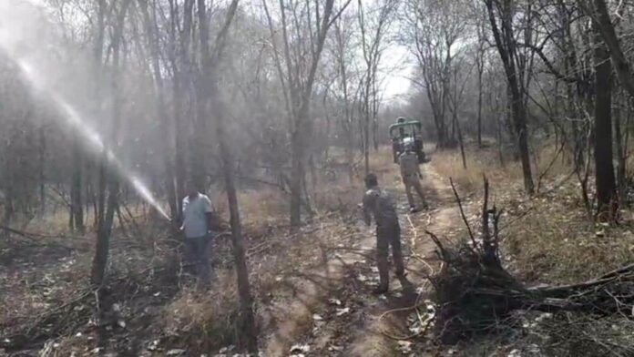 Water being lifted from Kuno river to help cheetahs beat Water being lifted from Kuno river to help cheetahs beat the heat